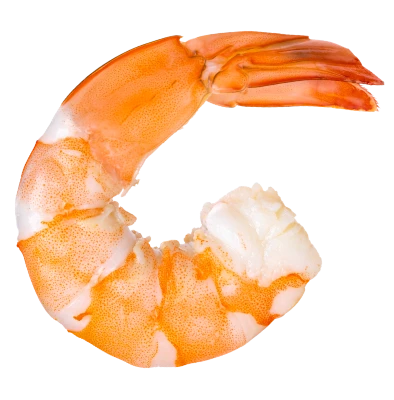 Camarón cocido en forma curva sobre fondo transparente