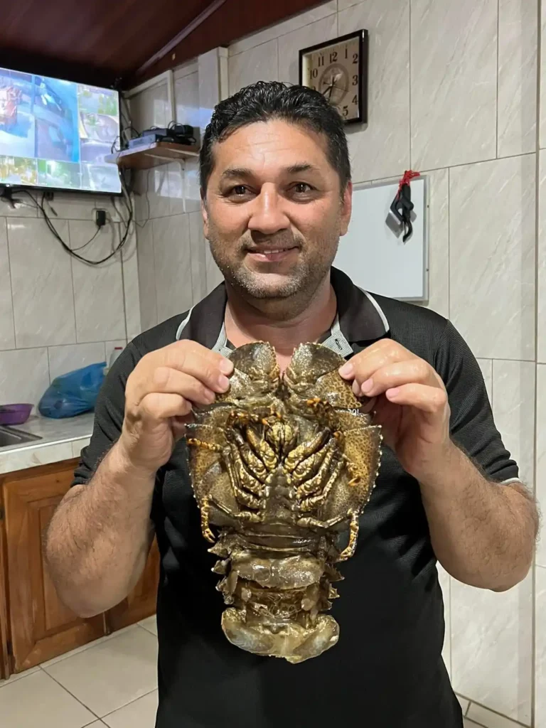 Hombre chef sosteniendo una langosta en un restaurante costarricense.