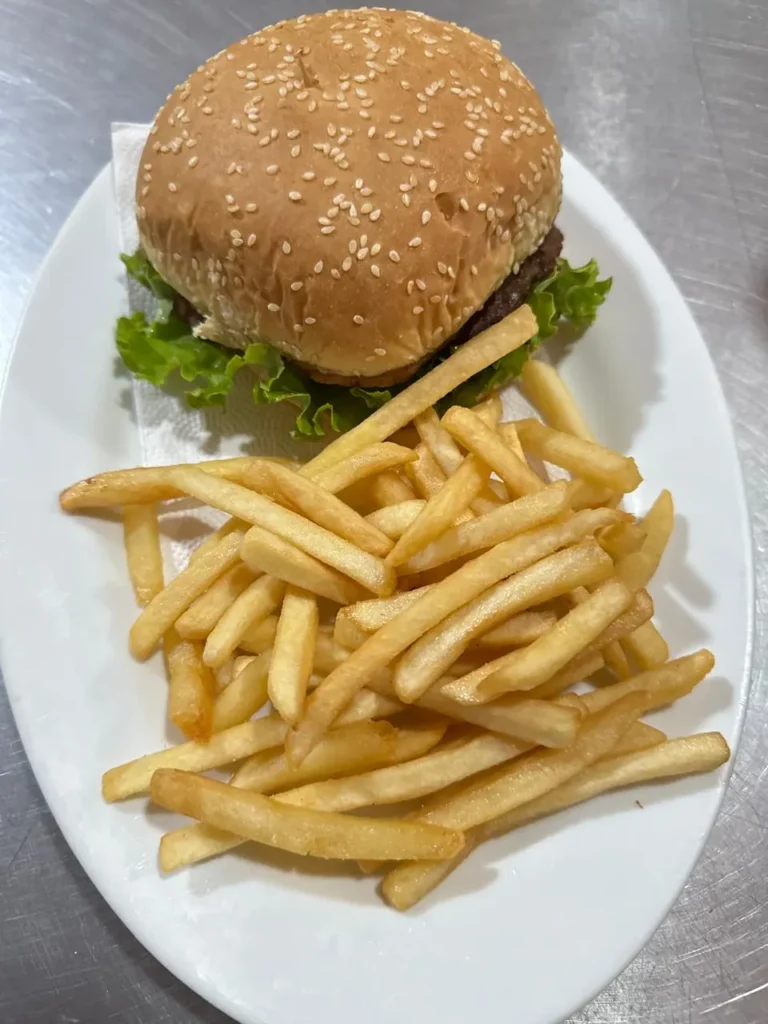 Hamburguesa con papas fritas servida en plato blanco